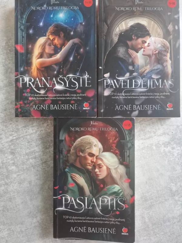 Noroko rūmų trilogija: Paslaptis, Paveldėjimas, Pranašystė - Agnė Bausienė, knyga 2