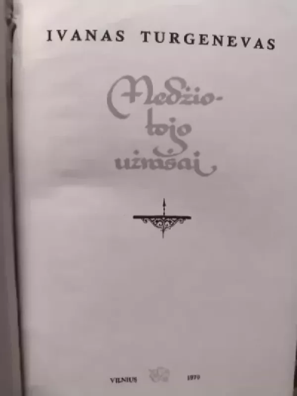 Išvakarėse - Ivanas Turgenevas, knyga 6