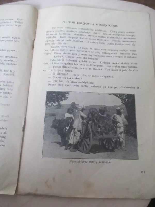 Žvaigždutė 1935 m. Nr. 20 - Autorių Kolektyvas, knyga 5