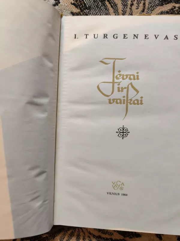 Išvakarėse - Ivanas Turgenevas, knyga 5