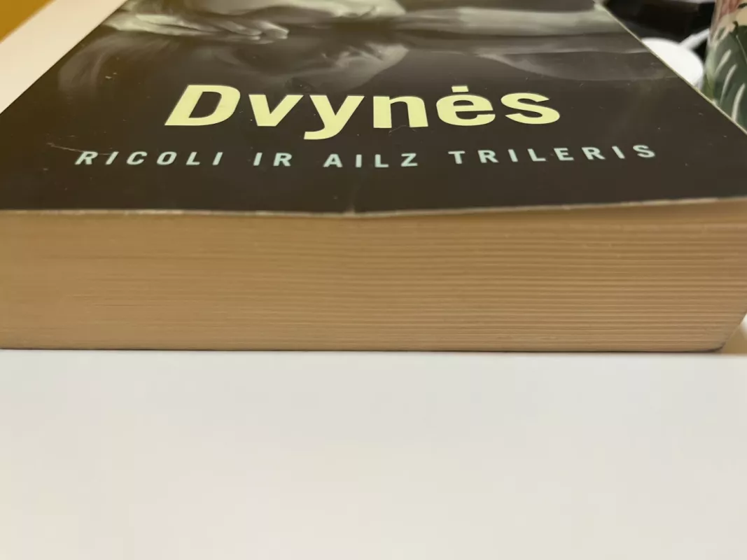 Dvynės - Tess Gerritsen, knyga 3