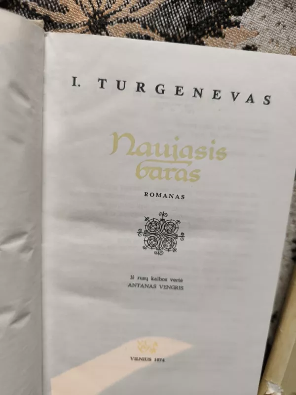 Išvakarėse - Ivanas Turgenevas, knyga 4