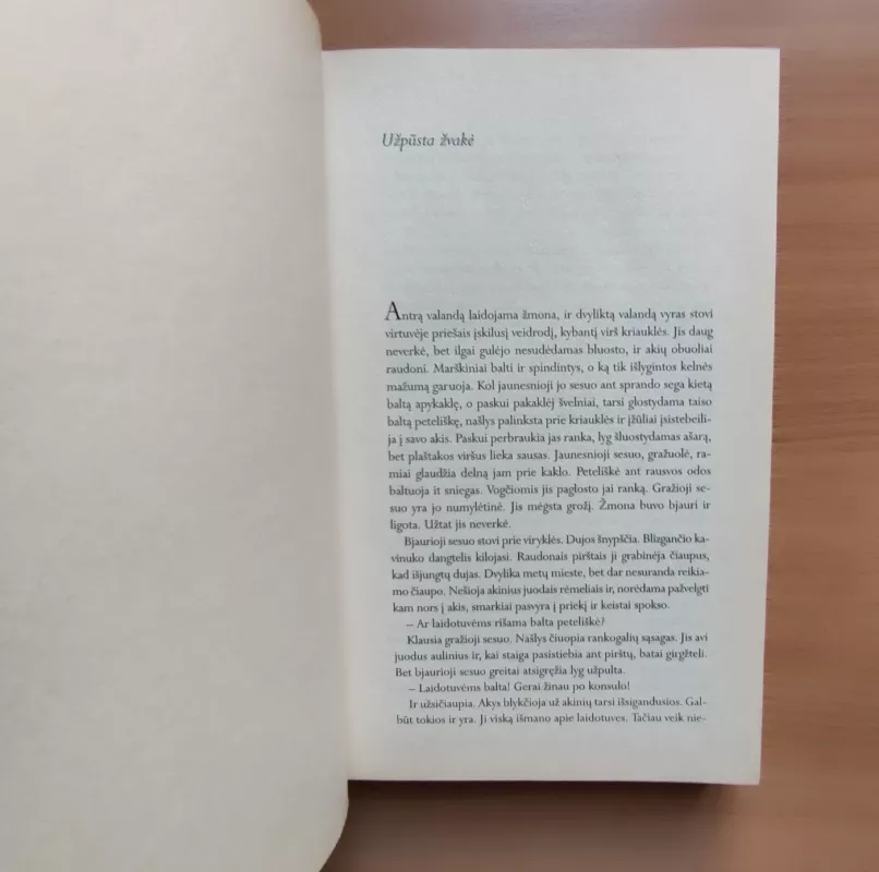 Ugnies palytėtas - Stig Dagerman, knyga 5