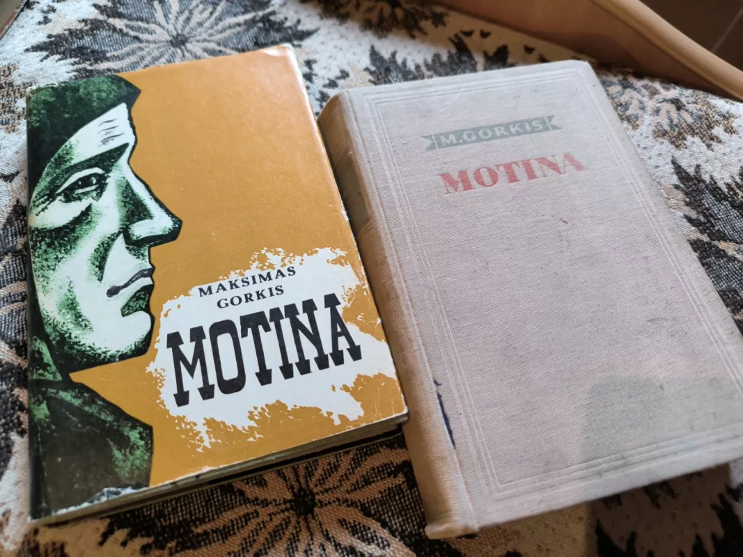 Motina - Maksimas Gorkis, knyga 2