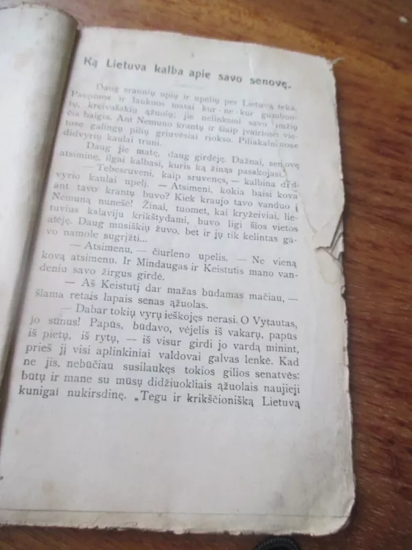 Apie Lietuvos senovę (10 pasakojimų). - Pranas Mašiotas, knyga 6