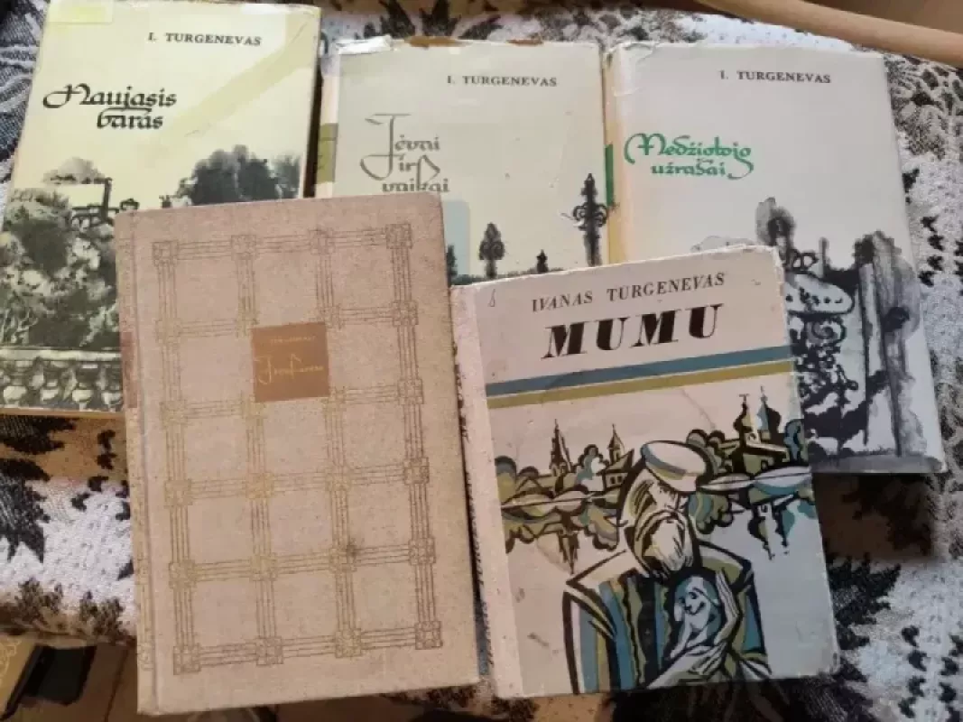 Išvakarėse - Ivanas Turgenevas, knyga 2