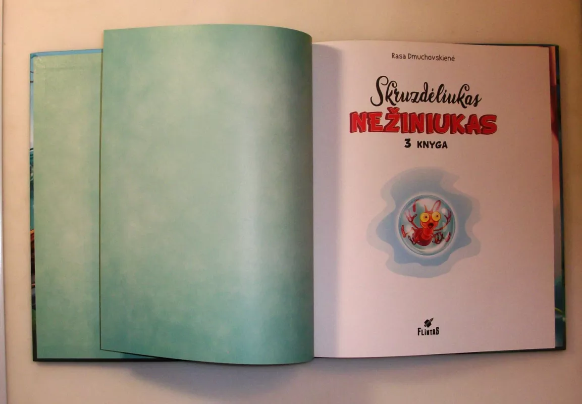 SKRUZDĖLIUKAS NEŽINIUKAS. 3 knyga - Rasa Dmuchovskienė, knyga 6
