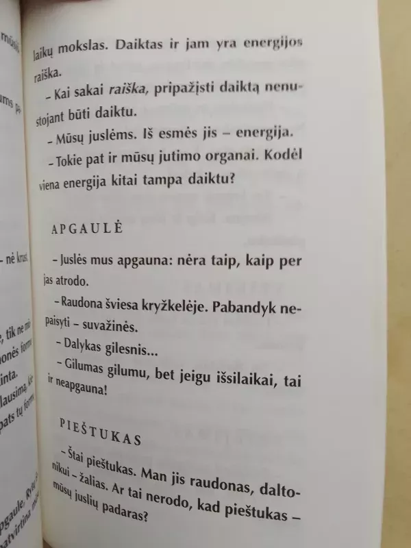 Žybsniai: filosofinės replikos - Leonas Gineitis, knyga 6