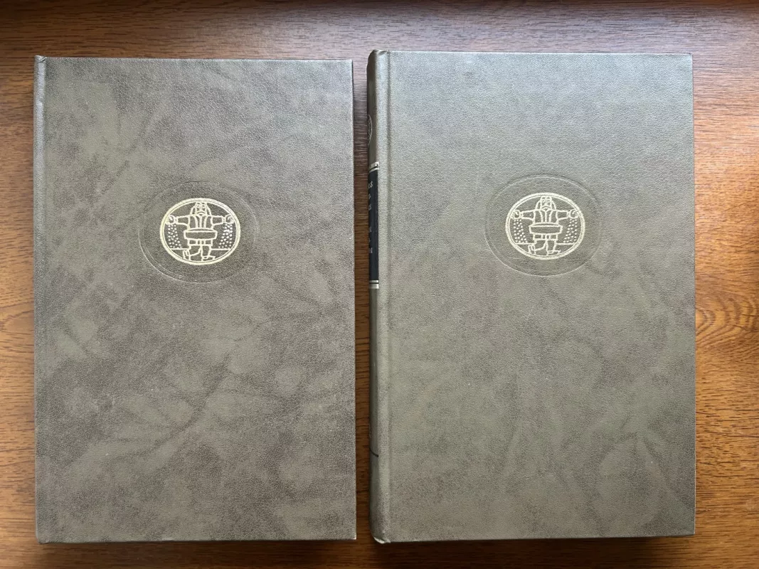 Broliai Karamazovai (2 knygos) - Fiodoras Dostojevskis, knyga 2