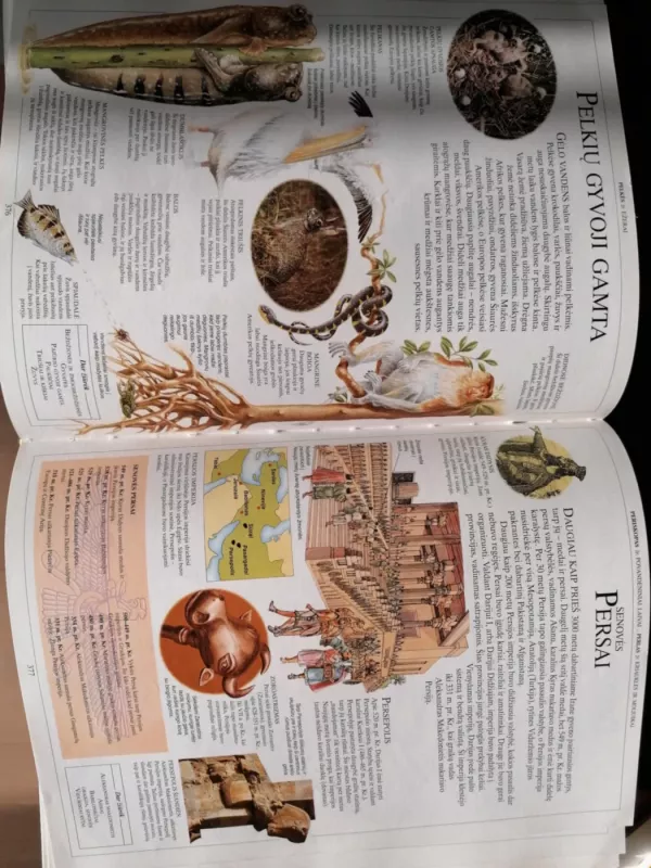 Iliustruota vaikų enciklopedija - Ann Kramer, knyga 3