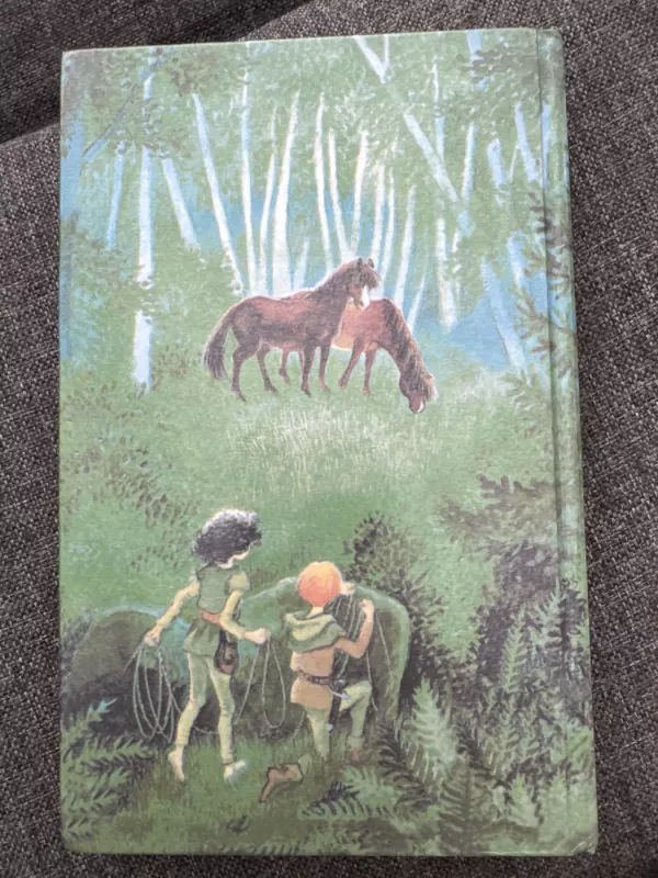 Ronja plėšiko duktė - ASTRIDA LINDGREN, knyga 3