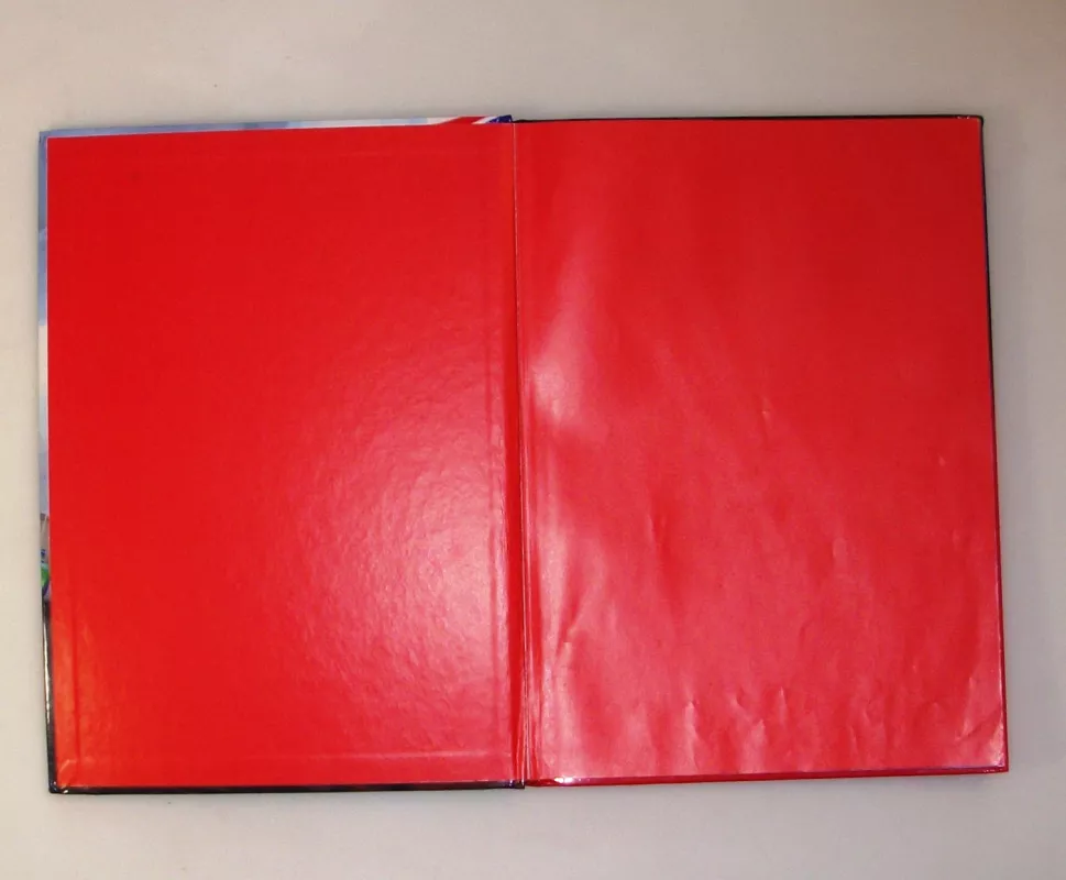 Ratai 2. Nuotykiai Londone - Disney/Pixar, knyga 5