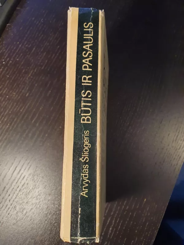 Būtis ir pasaulis - Arvydas Šliogeris, knyga 3