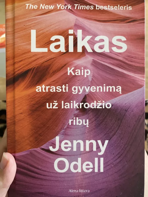 Laikas. Kaip atrasti gyvenimą už laikrodžio ribų - Jenny Odell, knyga 3