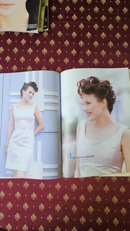 La Coiffure de Paris - Mike Vincent, knyga 5