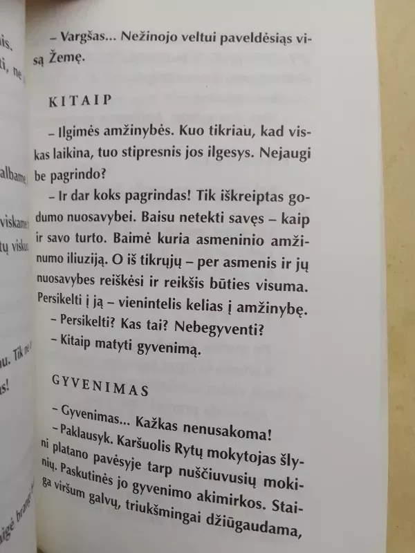 Žybsniai: filosofinės replikos - Leonas Gineitis, knyga 5