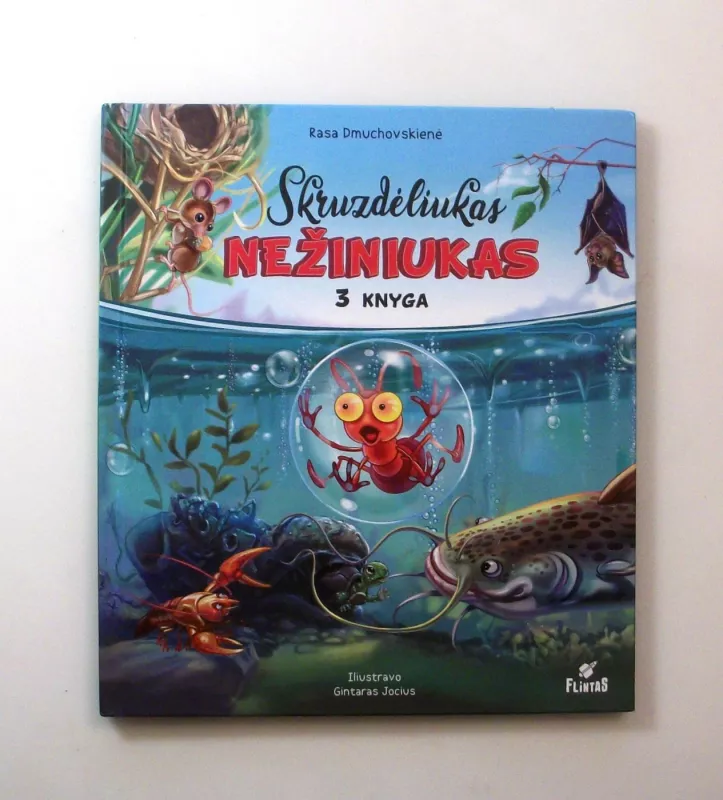 SKRUZDĖLIUKAS NEŽINIUKAS. 3 knyga - Rasa Dmuchovskienė, knyga 4