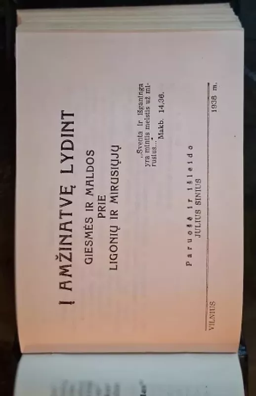 Į amžinatvę lydint: giesmės ir maldos prie ligonių ir numirėlių - Julius Sinius, knyga 3