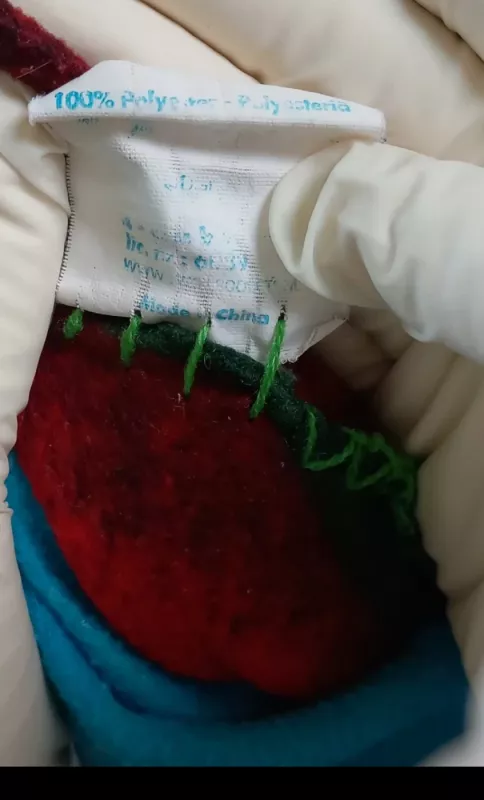 Pledas - , namai ir interjeras 3