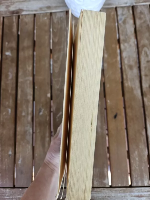 Silva Rerum I - Sabaliauskaitė Kristina, knyga 6