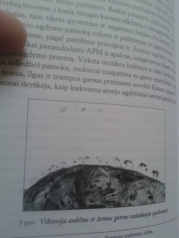 Ypatingųjų vaikų integruotas muzikinis ugdymas. Specialioji meno pedagogika - Aldona Vilkelienė, knyga 5