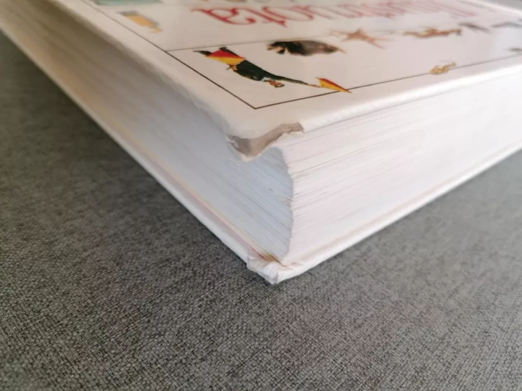 Iliustruota vaikų enciklopedija - Ann Kramer, knyga 6