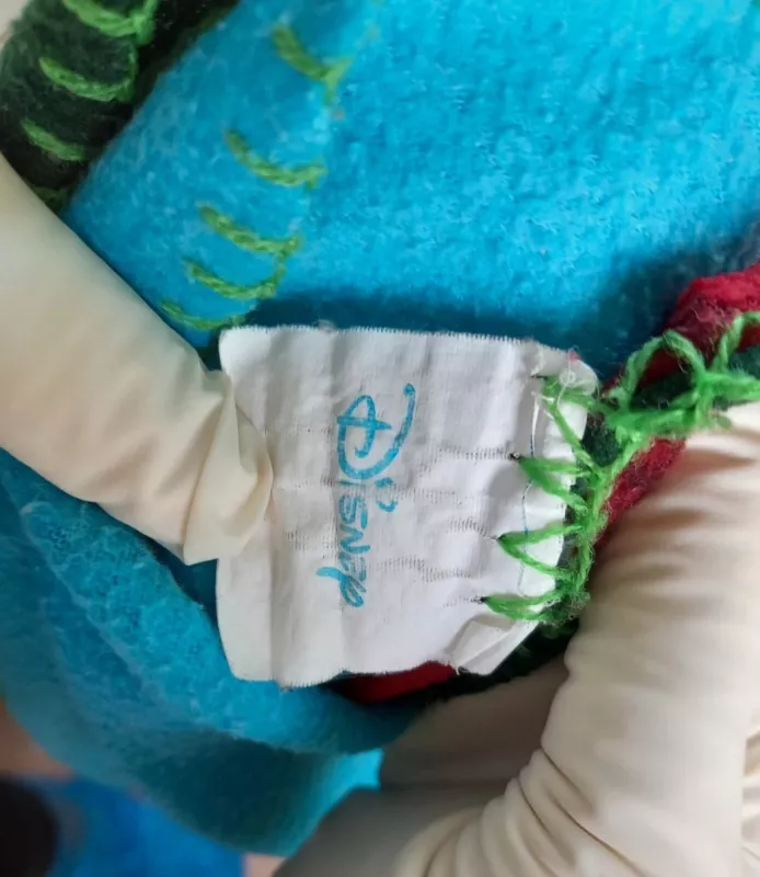 Pledas - , namai ir interjeras 4