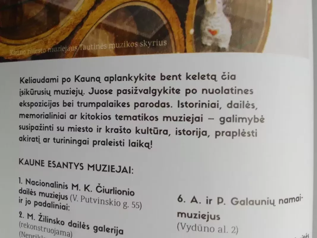 Šiuolaikinis Kaunas - Autorių Kolektyvas, knyga 4