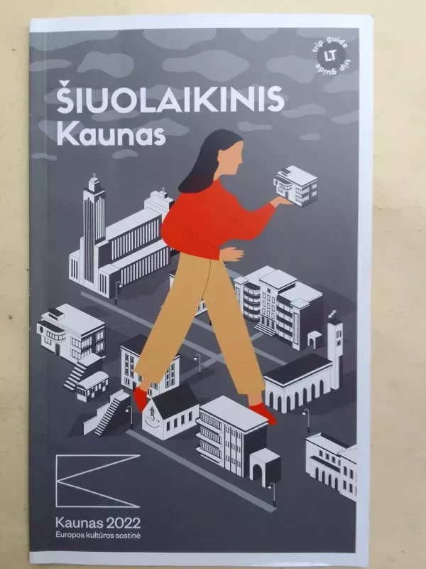 Šiuolaikinis Kaunas - Autorių Kolektyvas, knyga 2
