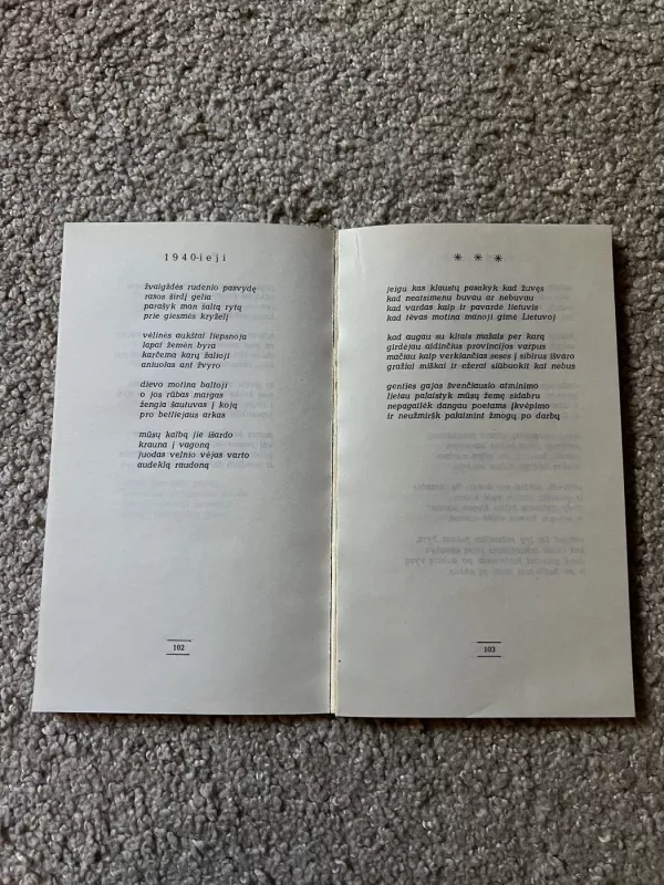 Nakties viduramžiai - Vytautas Skripka, knyga 4