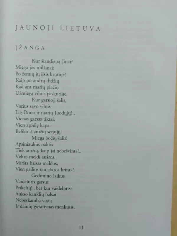 Jaunoji Lietuva -  Maironis, knyga 6