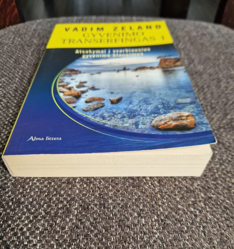 Gyvenimo transferingas 1 - Vadim Zeland, knyga 3