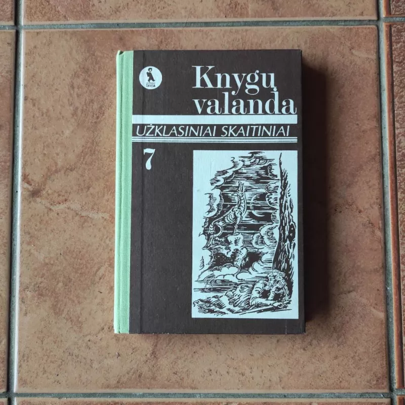 Knygų valanda, užklasiniai skaitiniai 7-tai klasei - Zita Alaunienė, knyga 2