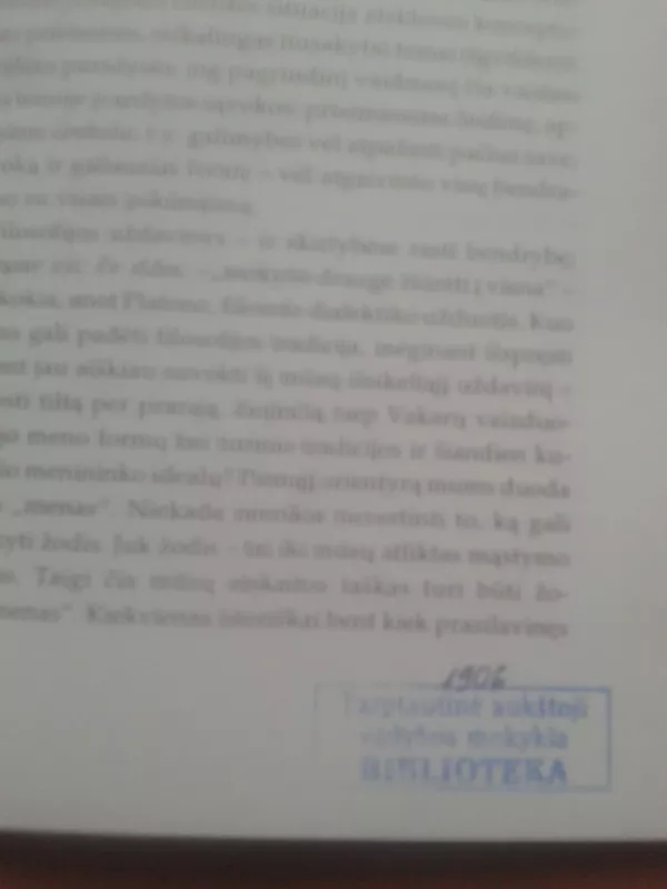 Grožio aktualumas - Hans-Georg Gadamer, knyga 4