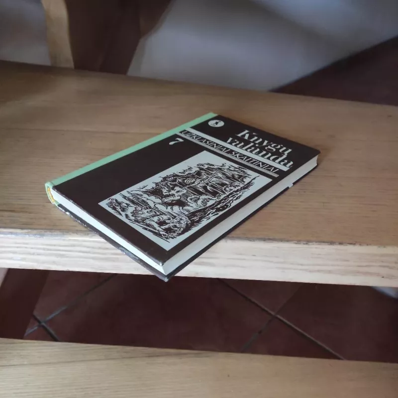 Knygų valanda, užklasiniai skaitiniai 7-tai klasei - Zita Alaunienė, knyga 6