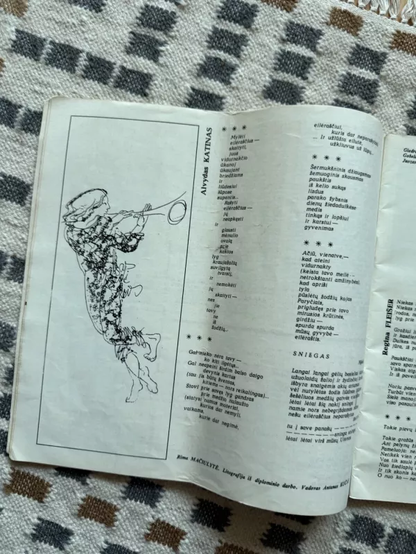 Žurnalas Nemunas 1982 metai - Autorių Kolektyvas, knyga 6