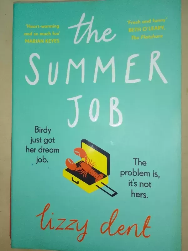 The summer job - Lizzy Dent, knyga 2