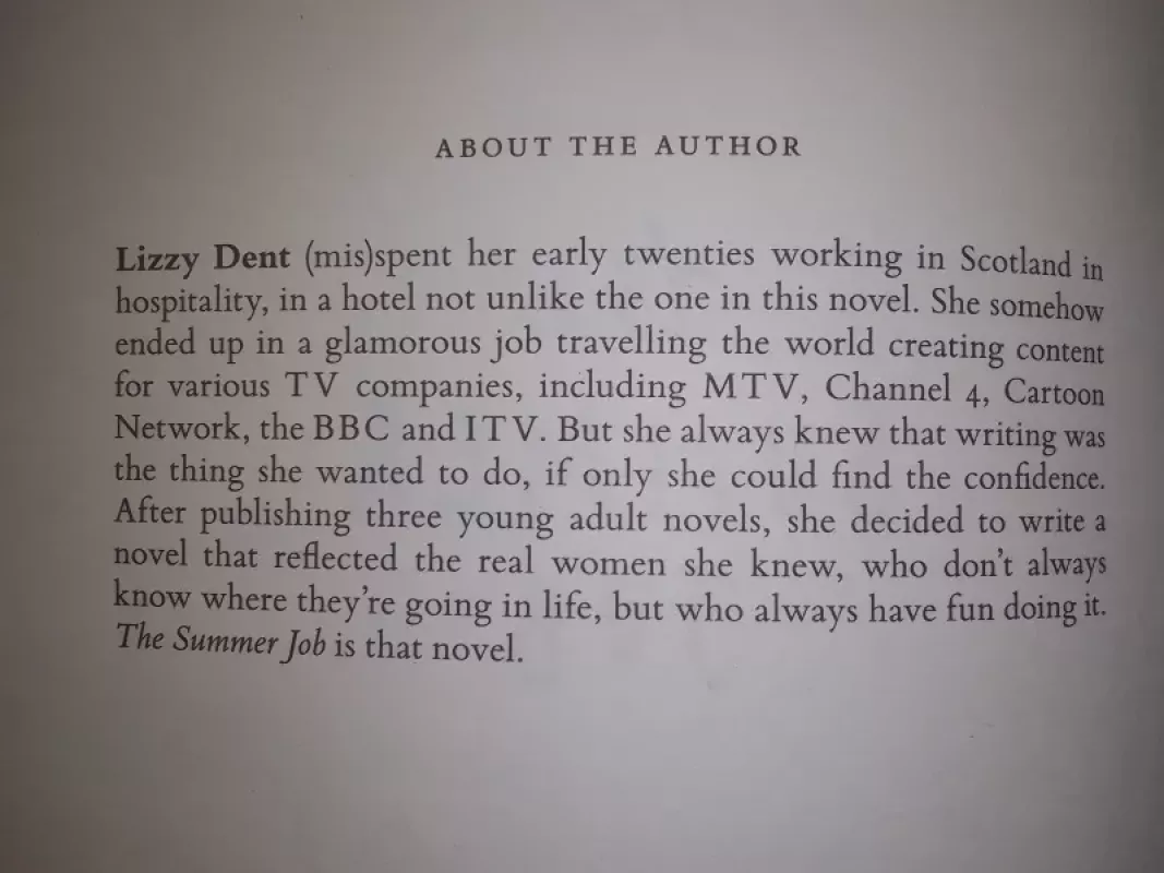 The summer job - Lizzy Dent, knyga 3