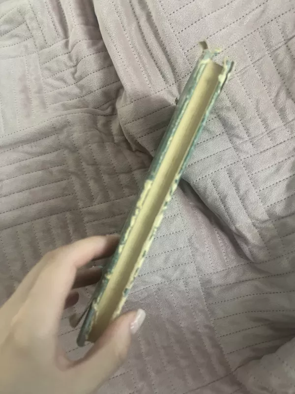 Žvaigždžių papėdė - Eduardas Mieželaitis, knyga 4