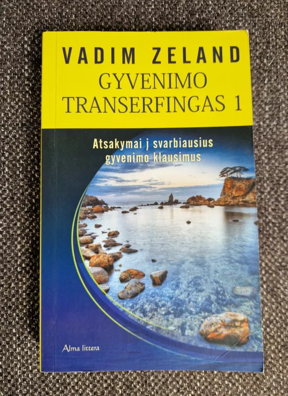 Gyvenimo transferingas 1 - Vadim Zeland, knyga 2