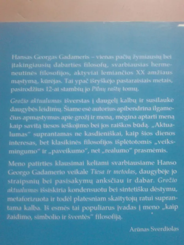 Grožio aktualumas - Hans-Georg Gadamer, knyga 5