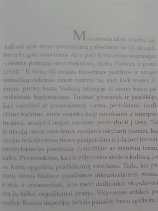 Grožio aktualumas - Hans-Georg Gadamer, knyga 6