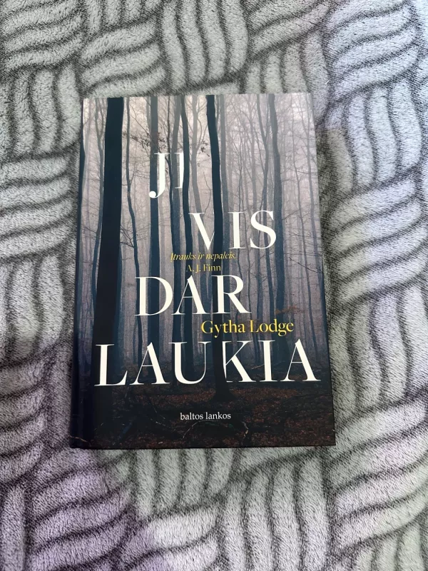 Ji vis dar laukia - Gytha Lodge, knyga 2