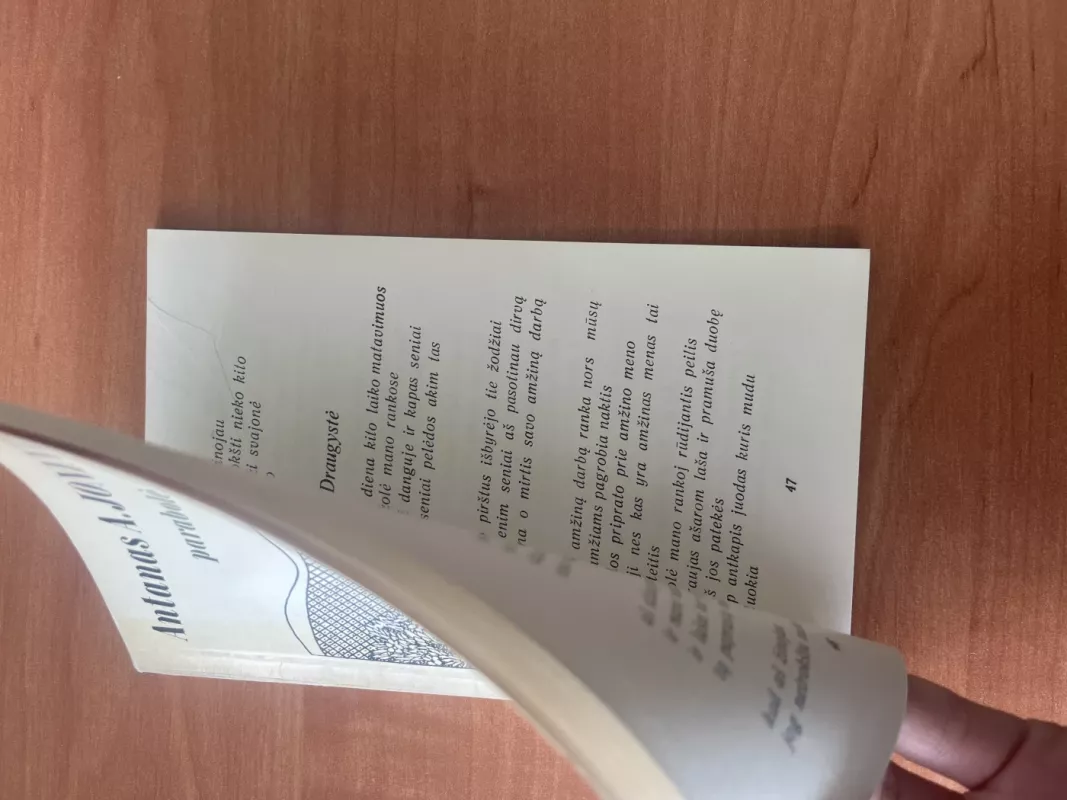 Parabolė - Antanas A. Jonynas, knyga 3