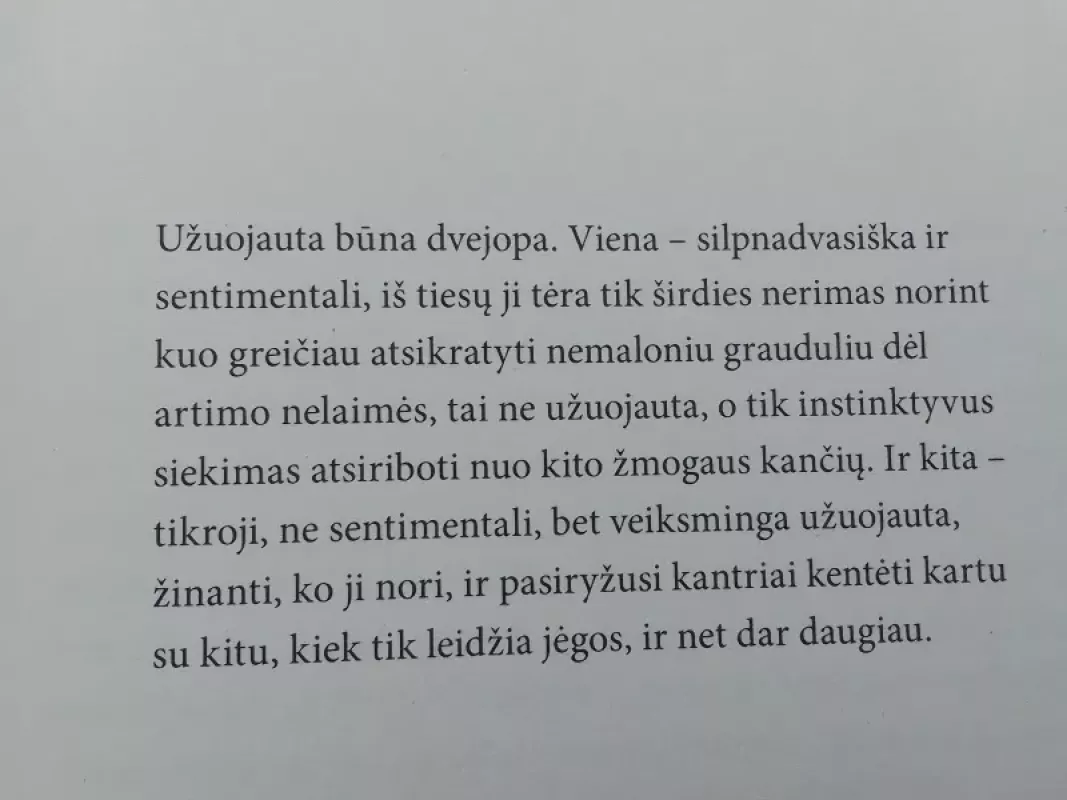 Širdies nerimas - Stefan Zweig, knyga 5