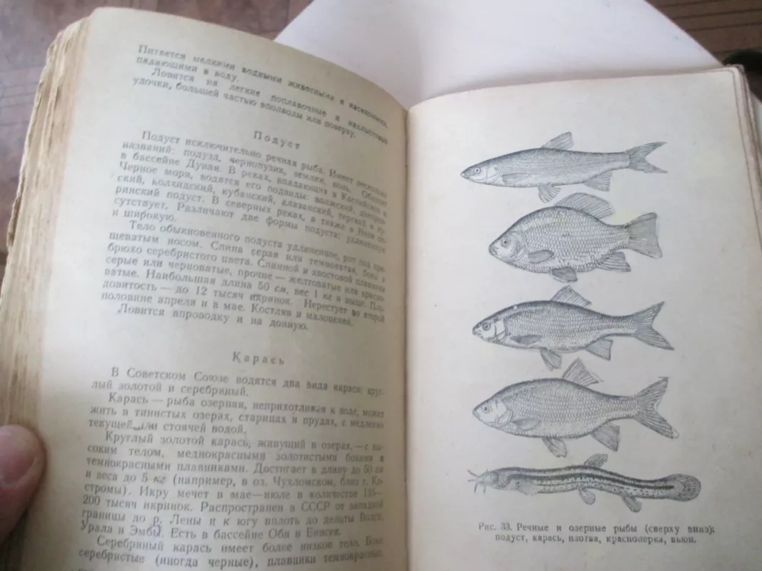Sportinė žvejyba (rusų k.) - F. H. Kunilov, knyga 4