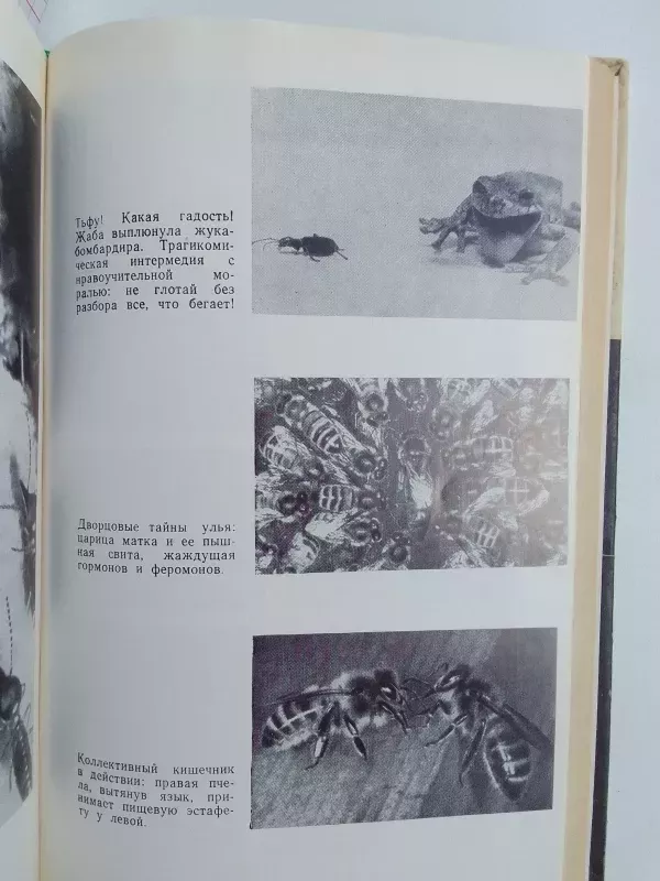 Занимательная биология - И. Акимушкин, knyga 3