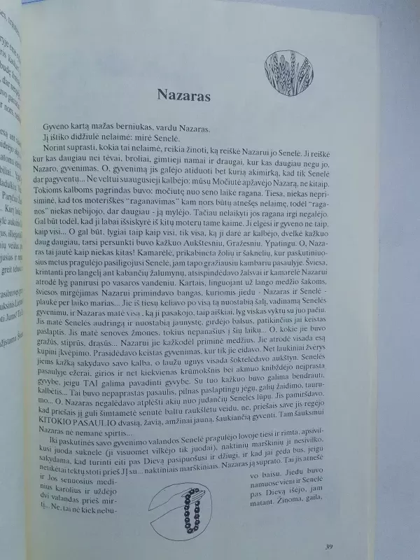 Dievdirbio širdis - Maža Giraitė, knyga 6