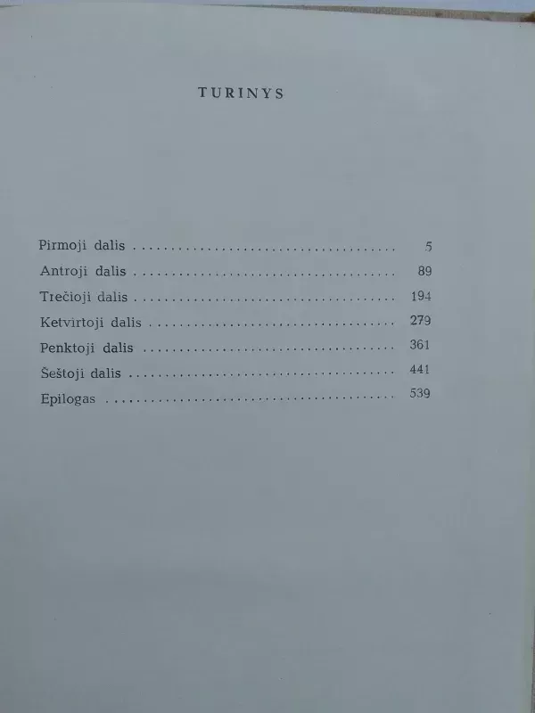 Nusikaltimas ir bausmė - Fiodoras Dostojevskis, knyga 5