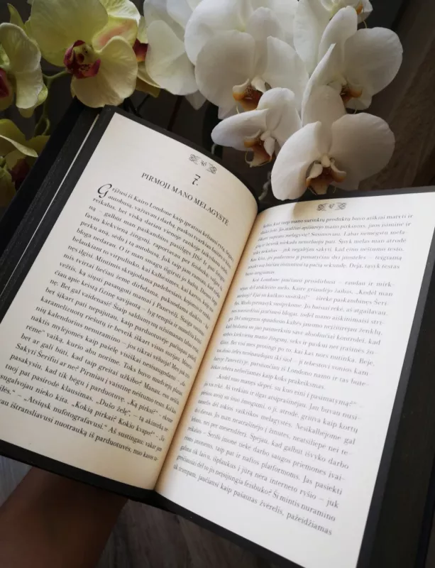 Pagrobta savo noru - Anna Moon, Dalia Musteikytė, knyga 5